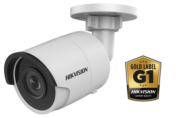 Hikvision Digital Technology DS-2CD2025FWD-I IP-beveiligingscamera Binnen & buiten Rond 1920 x 1080 Pixels Plafond/muur
